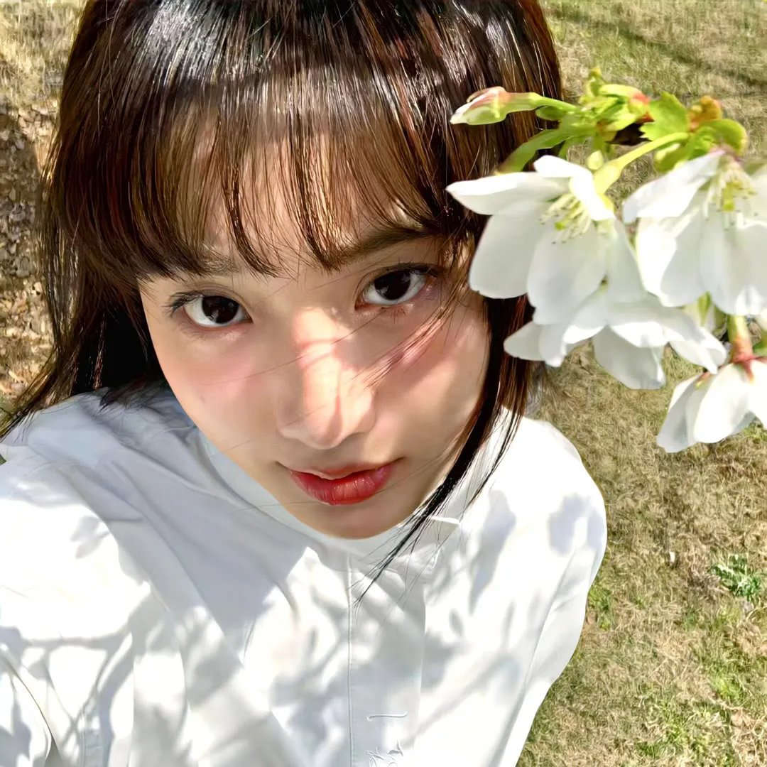 蜡笔小新:呼风唤雨!金矛之勇者国语